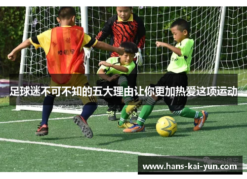 足球迷不可不知的五大理由让你更加热爱这项运动