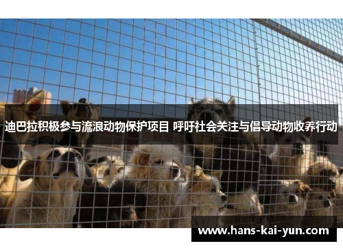 迪巴拉积极参与流浪动物保护项目 呼吁社会关注与倡导动物收养行动