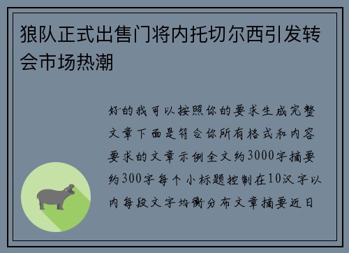 狼队正式出售门将内托切尔西引发转会市场热潮